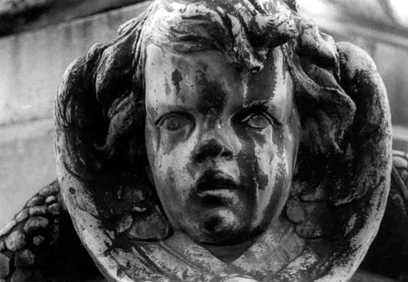 cherub