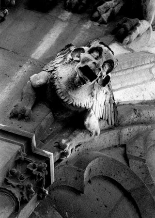 gargoyle