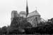 notre dame
