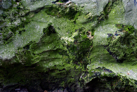 molding rock