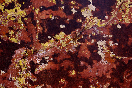 red rock with mold 6