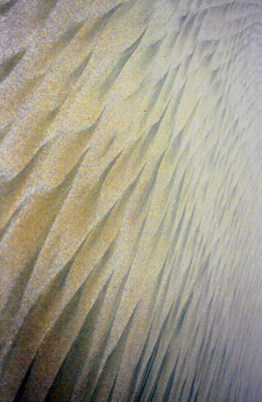 patterns in the sand