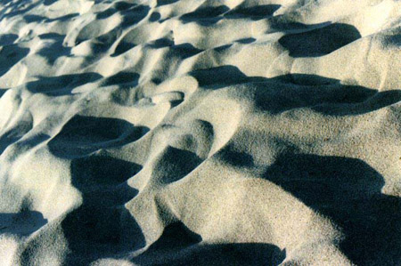 shadows