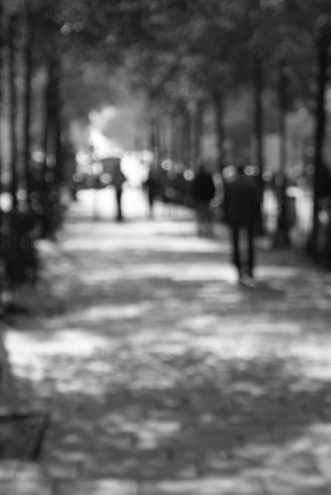 walking in the park