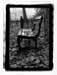 park bench 1