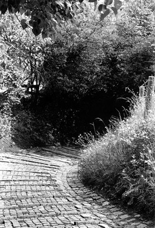 path