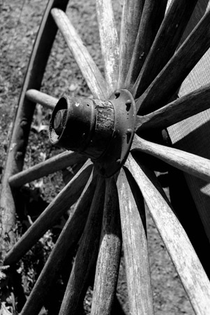 wheel