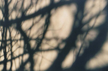 winter shadows 4