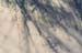 winter shadows 3