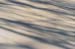 winter shadows 5