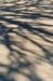 winter shadows 7