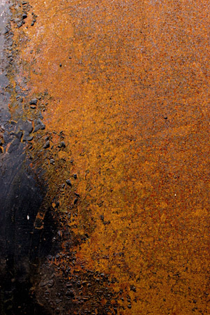 rust 3