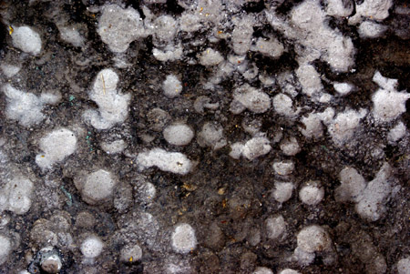 sidewalk